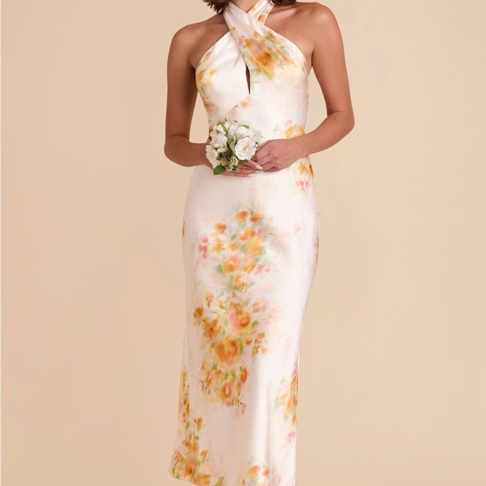 Birdy Grey Monique Dress